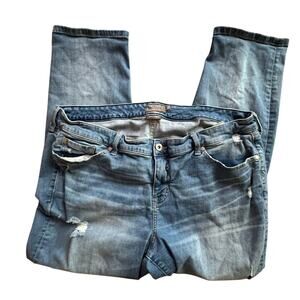 TORRID x Womens Vintage Stretch Boyfriend Straight  Blue Jeans x Size 22